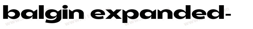 balgin expanded字体转换 balgin expanded字体转换